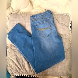 Light Wash Skinny Jeans